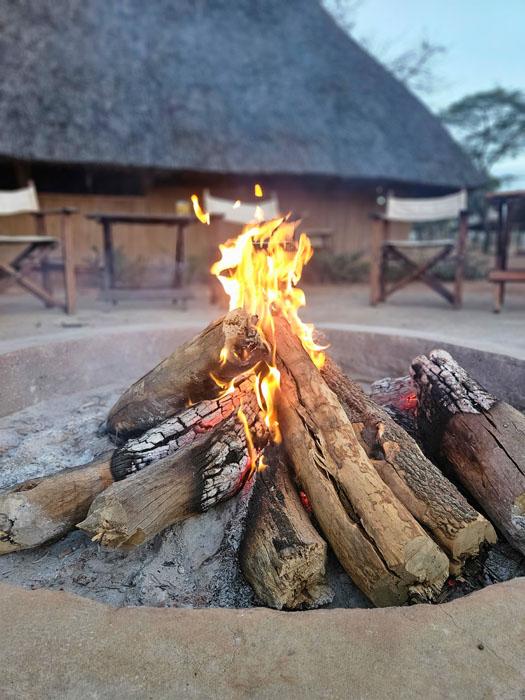 Leopard Hunting in Namibia & Brown Hyena Cancelation Hunt