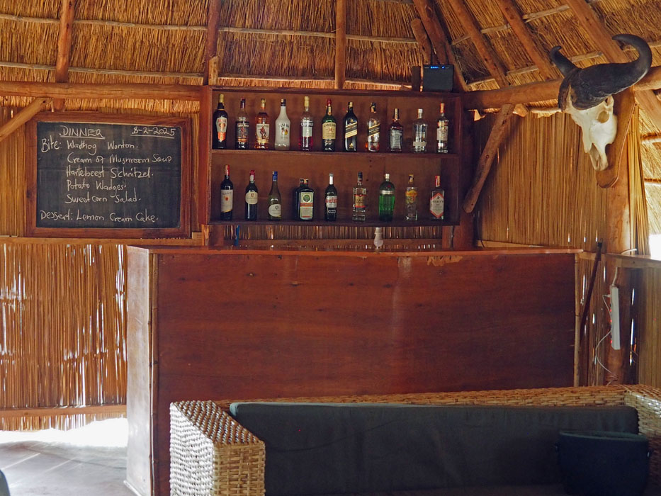 Leopard Hunting in Namibia & Brown Hyena Cancelation Hunt