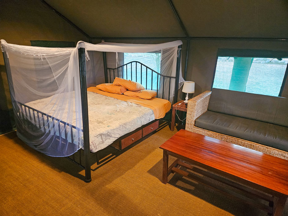 Leopard Hunting in Namibia & Brown Hyena Cancelation Hunt