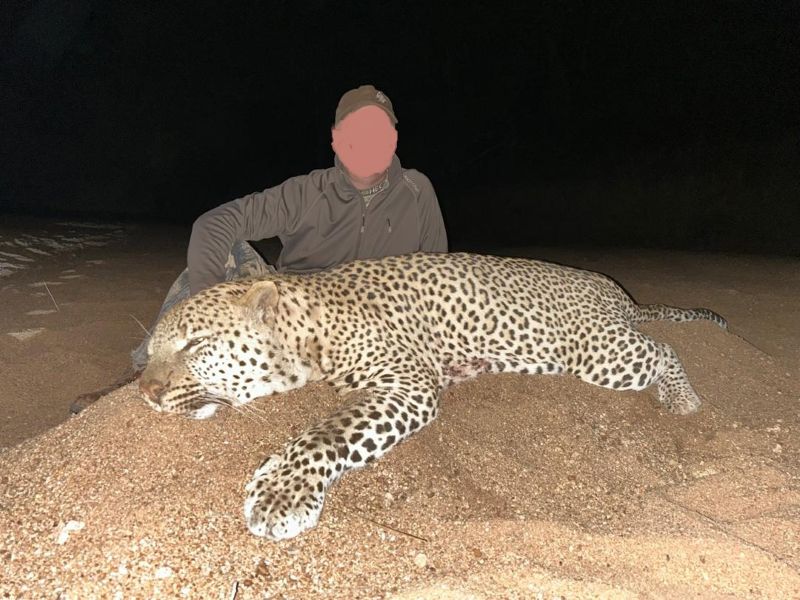 Leopard Hunting in Namibia & Brown Hyena Cancelation Hunt