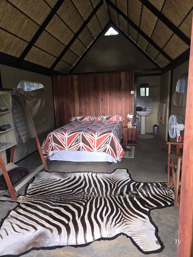 Leopard Hunting in Namibia & Brown Hyena Cancelation Hunt