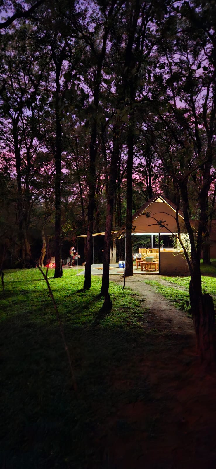 Leopard Hunting in Namibia & Brown Hyena Cancelation Hunt