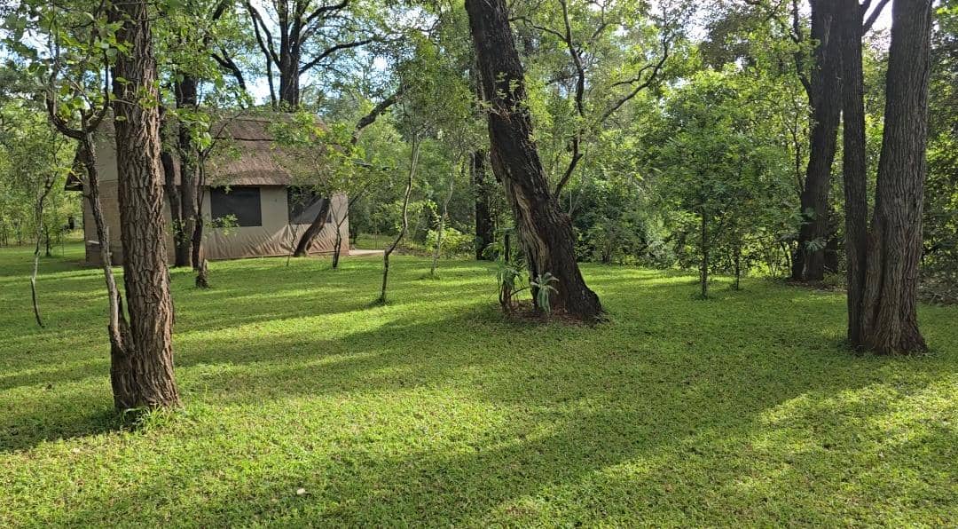 Leopard Hunting in Namibia & Brown Hyena Cancelation Hunt