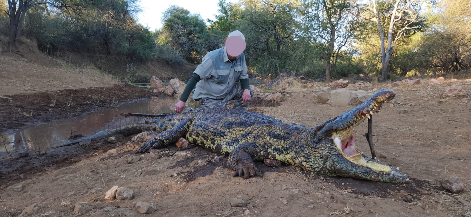 Leopard Hunting in Namibia & Brown Hyena Cancelation Hunt