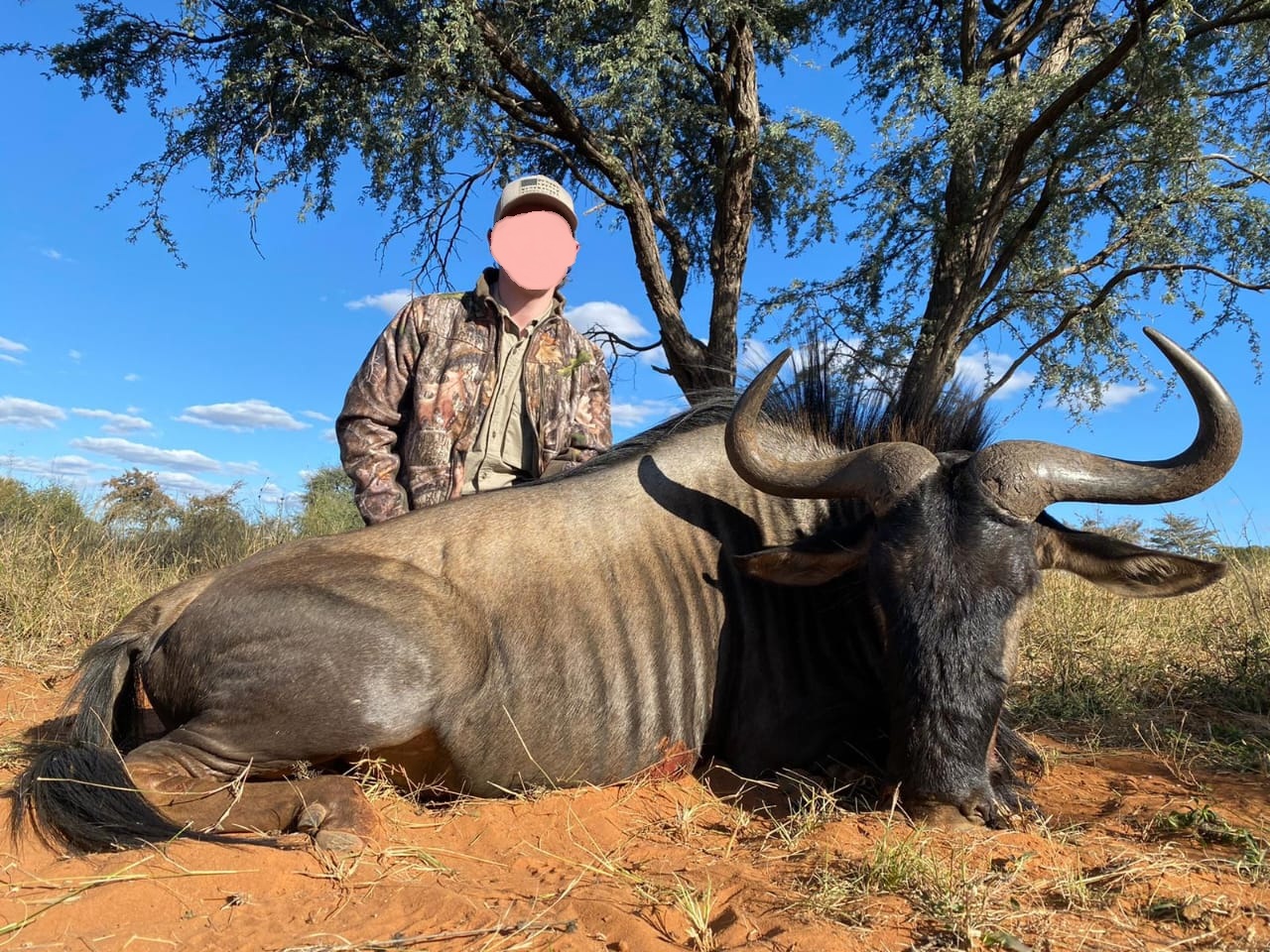 Leopard Hunting in Namibia & Brown Hyena Cancelation Hunt