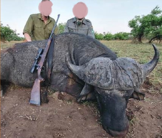 Nile Buffalo & Sitatunga Hunting in Uganda