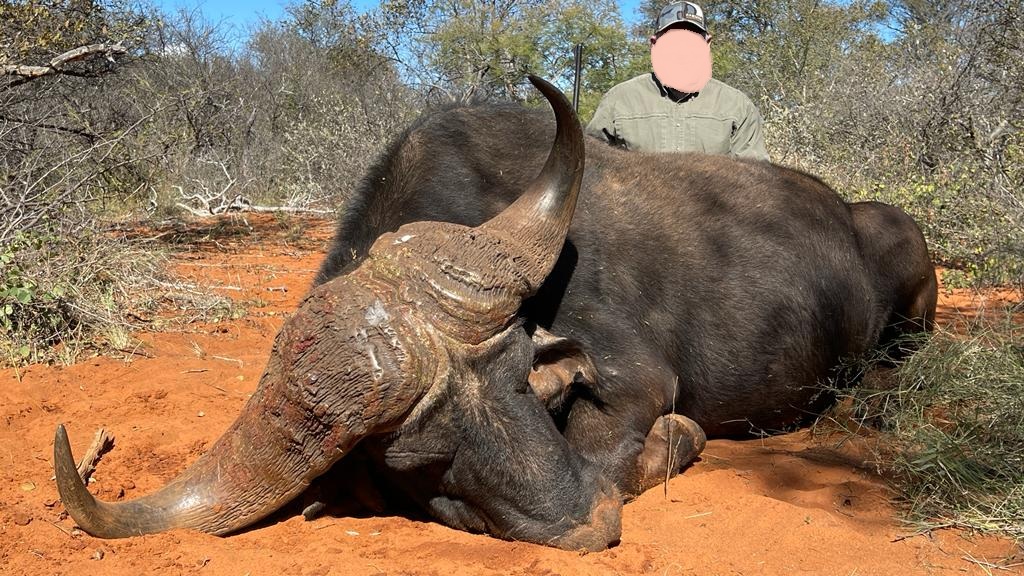 Leopard Hunting in Namibia & Brown Hyena Cancelation Hunt