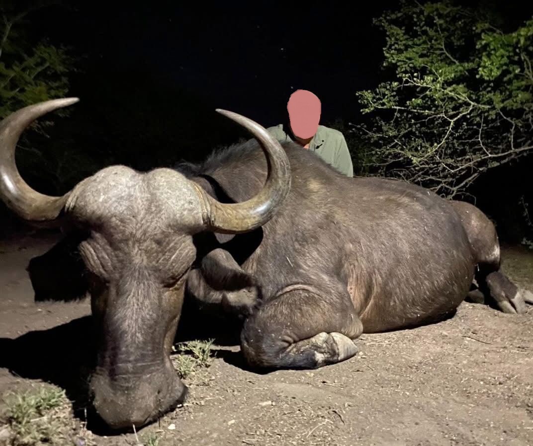 Leopard Hunting in Namibia & Brown Hyena Cancelation Hunt