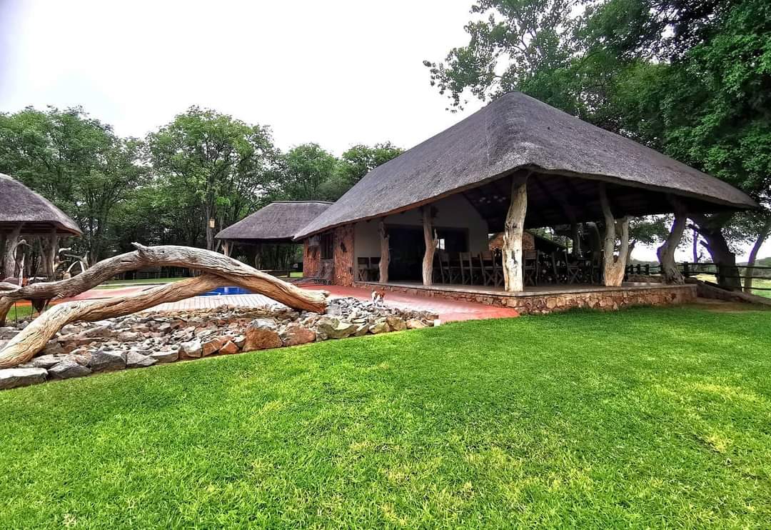 Leopard Hunting in Namibia & Brown Hyena Cancelation Hunt