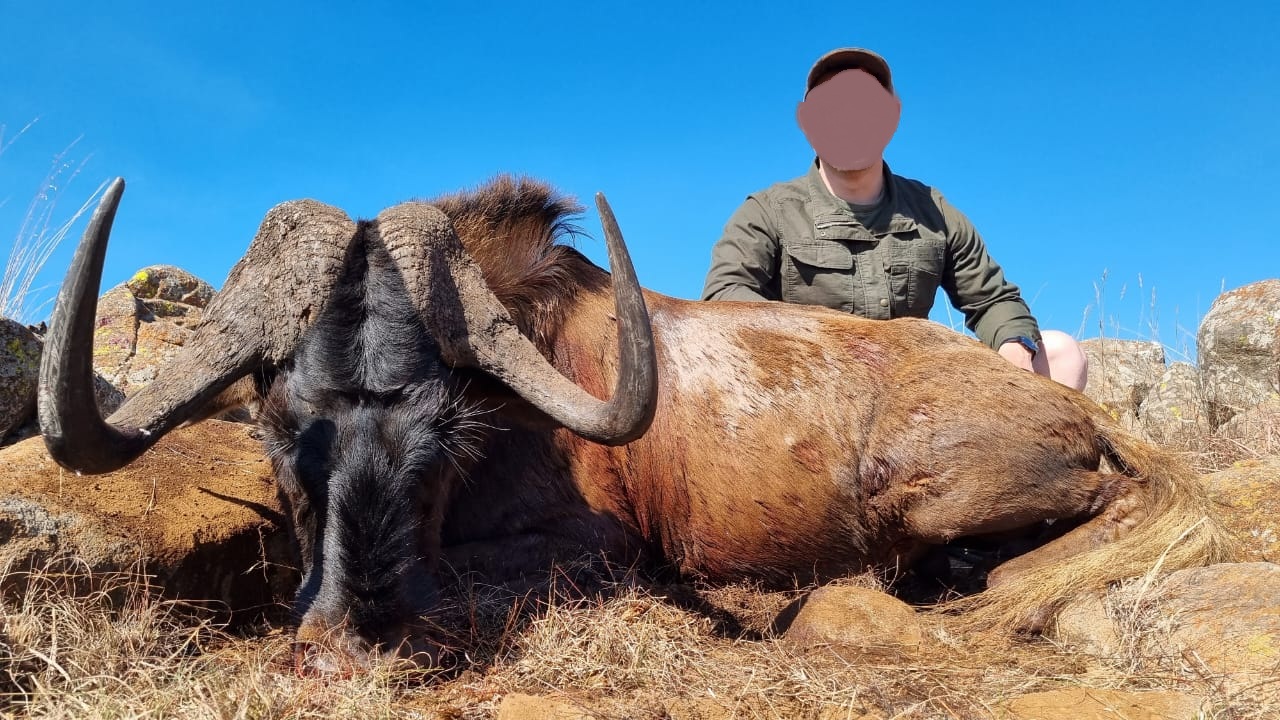 Leopard Hunting in Namibia & Brown Hyena Cancelation Hunt