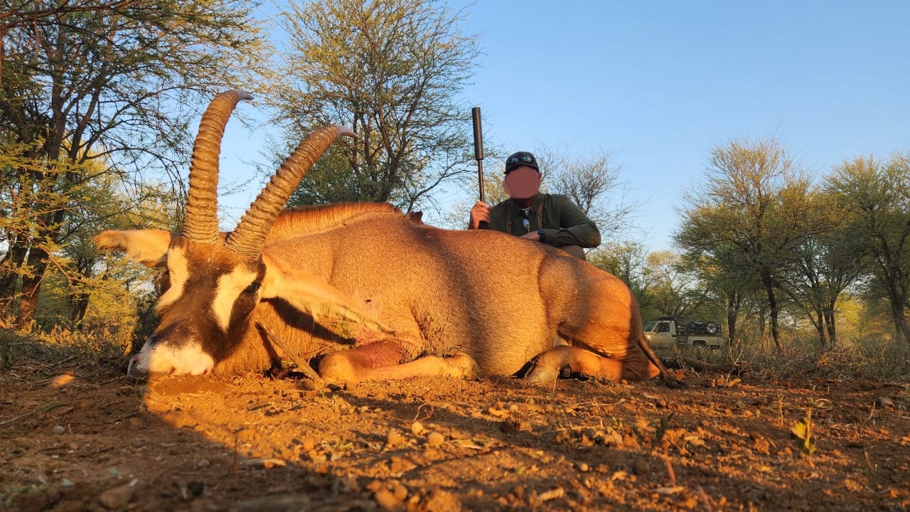 Leopard Hunting in Namibia & Brown Hyena Cancelation Hunt