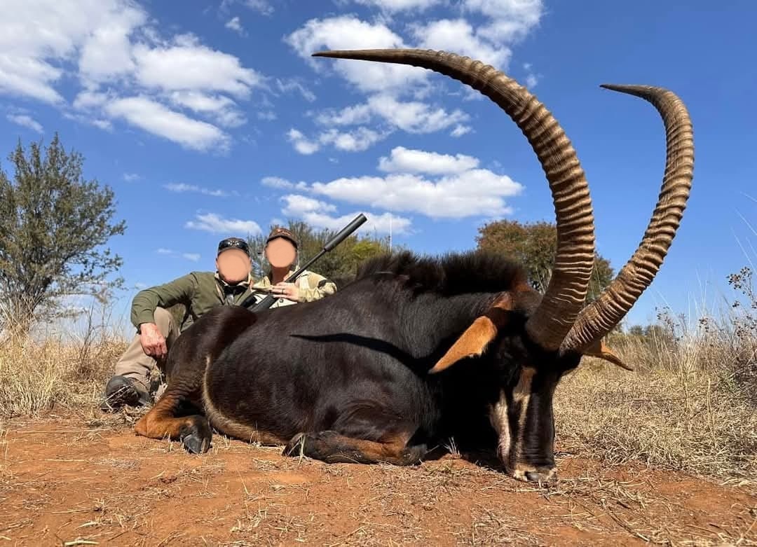 Leopard Hunting in Namibia & Brown Hyena Cancelation Hunt