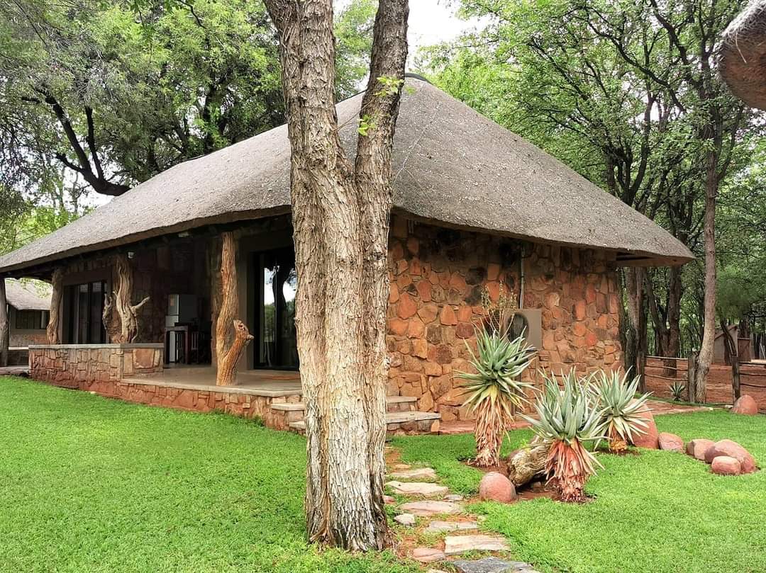 Leopard Hunting in Namibia & Brown Hyena Cancelation Hunt