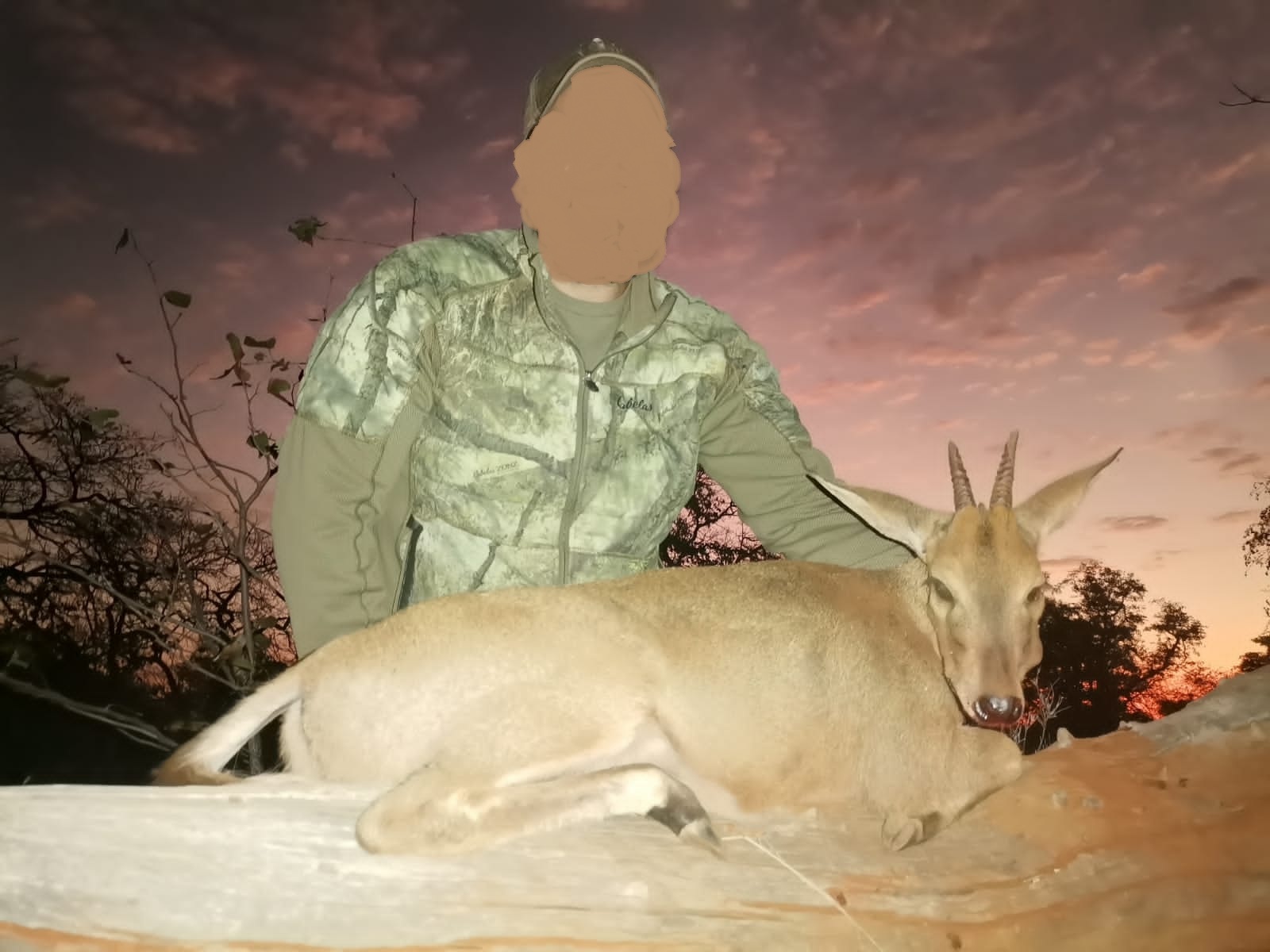 Leopard Hunting in Namibia & Brown Hyena Cancelation Hunt