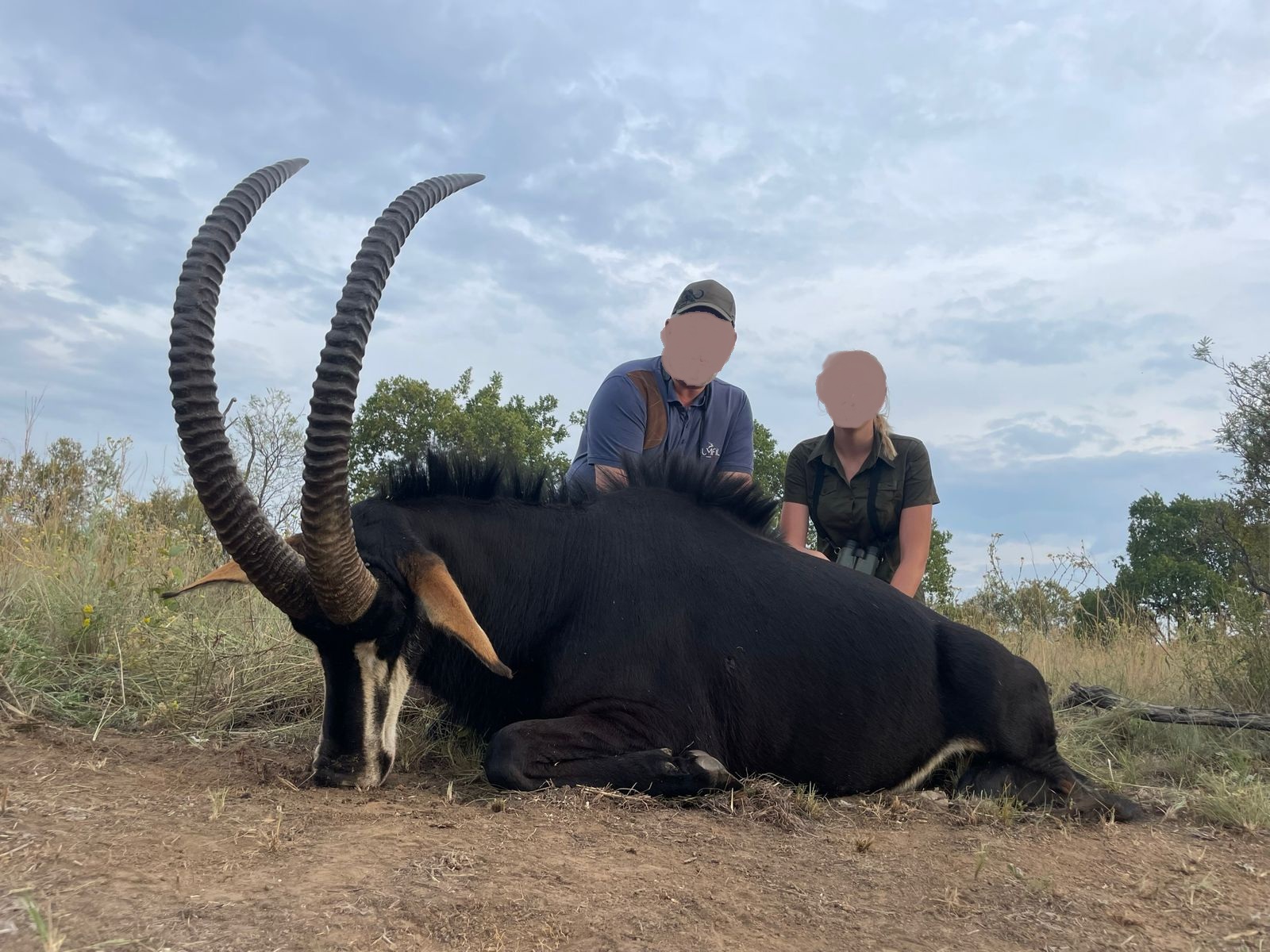 Leopard Hunting in Namibia & Brown Hyena Cancelation Hunt