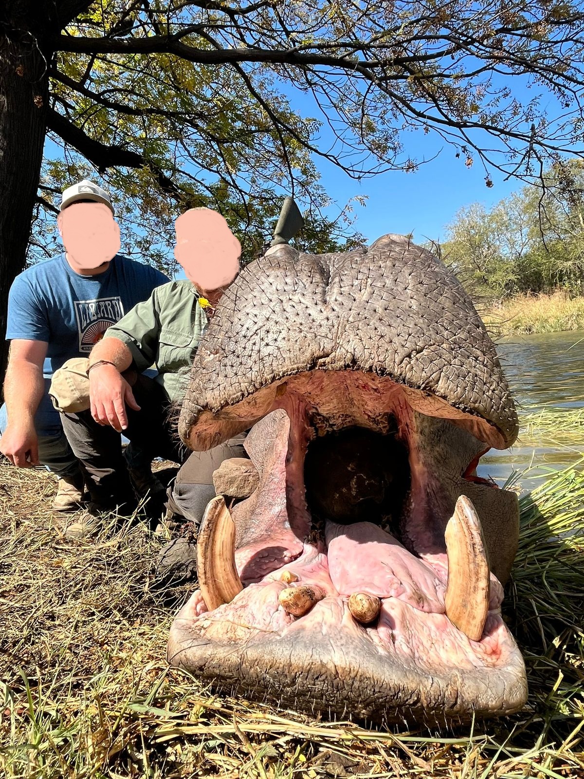 Leopard Hunting in Namibia & Brown Hyena Cancelation Hunt