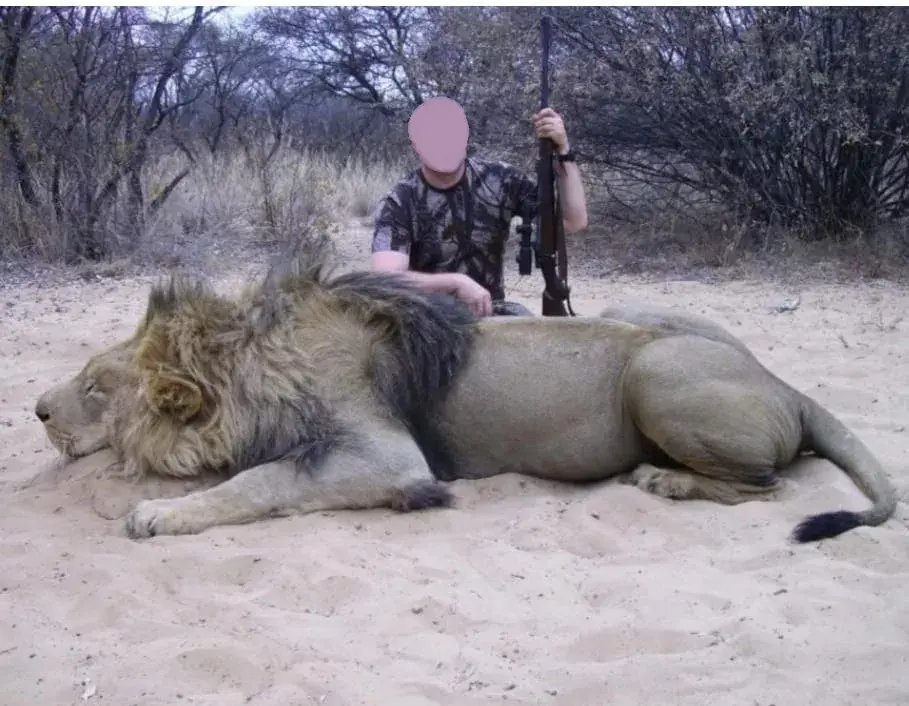 Leopard Hunting in Namibia & Brown Hyena Cancelation Hunt