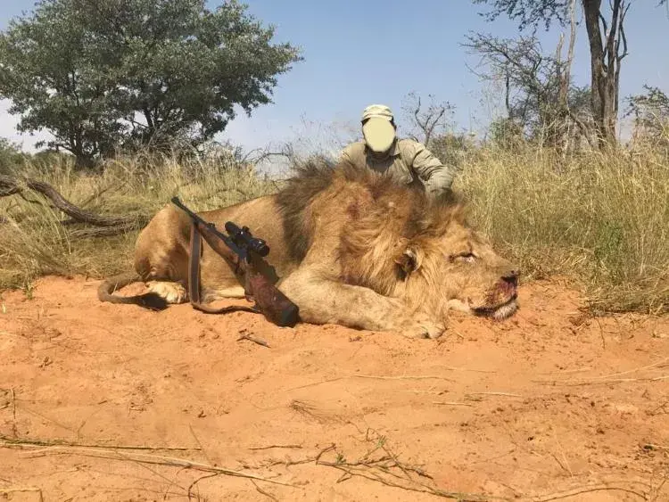 Leopard Hunting in Namibia & Brown Hyena Cancelation Hunt