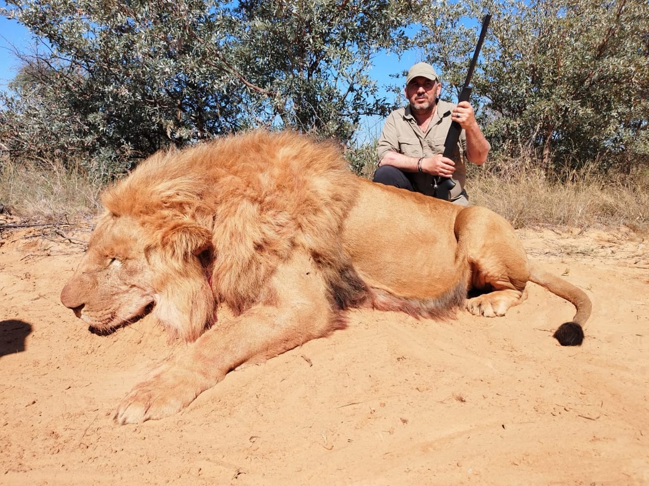 Leopard Hunting in Namibia & Brown Hyena Cancelation Hunt