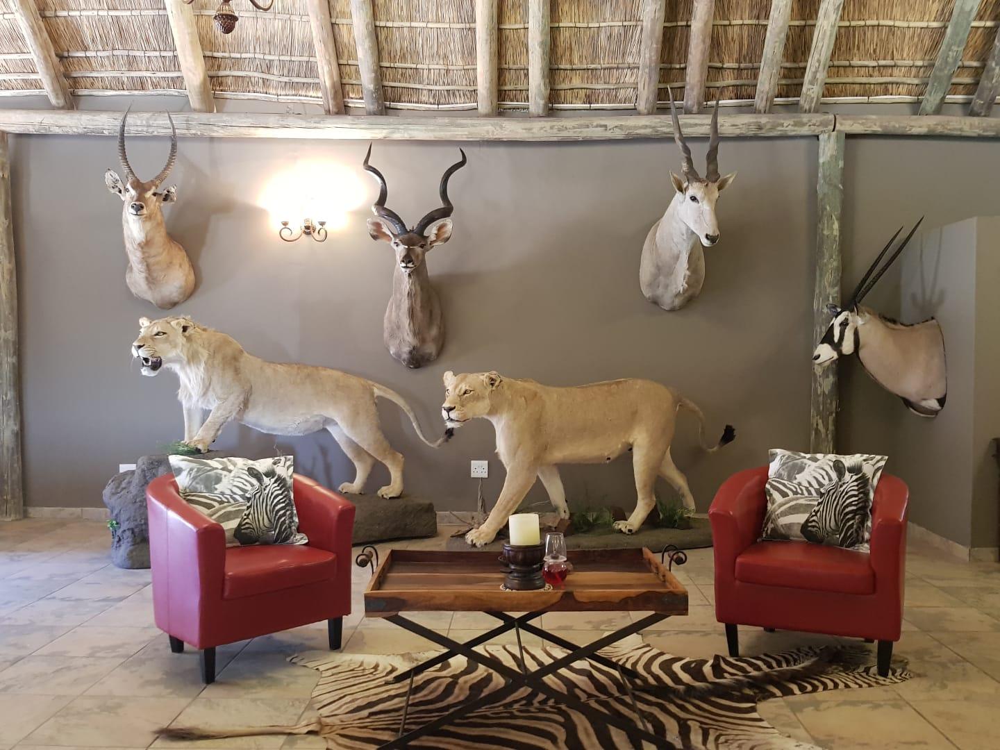 Leopard Hunting in Namibia & Brown Hyena Cancelation Hunt