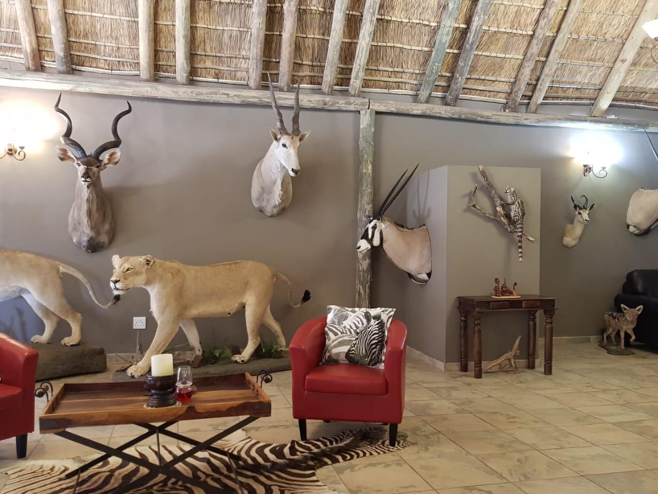 Leopard Hunting in Namibia & Brown Hyena Cancelation Hunt