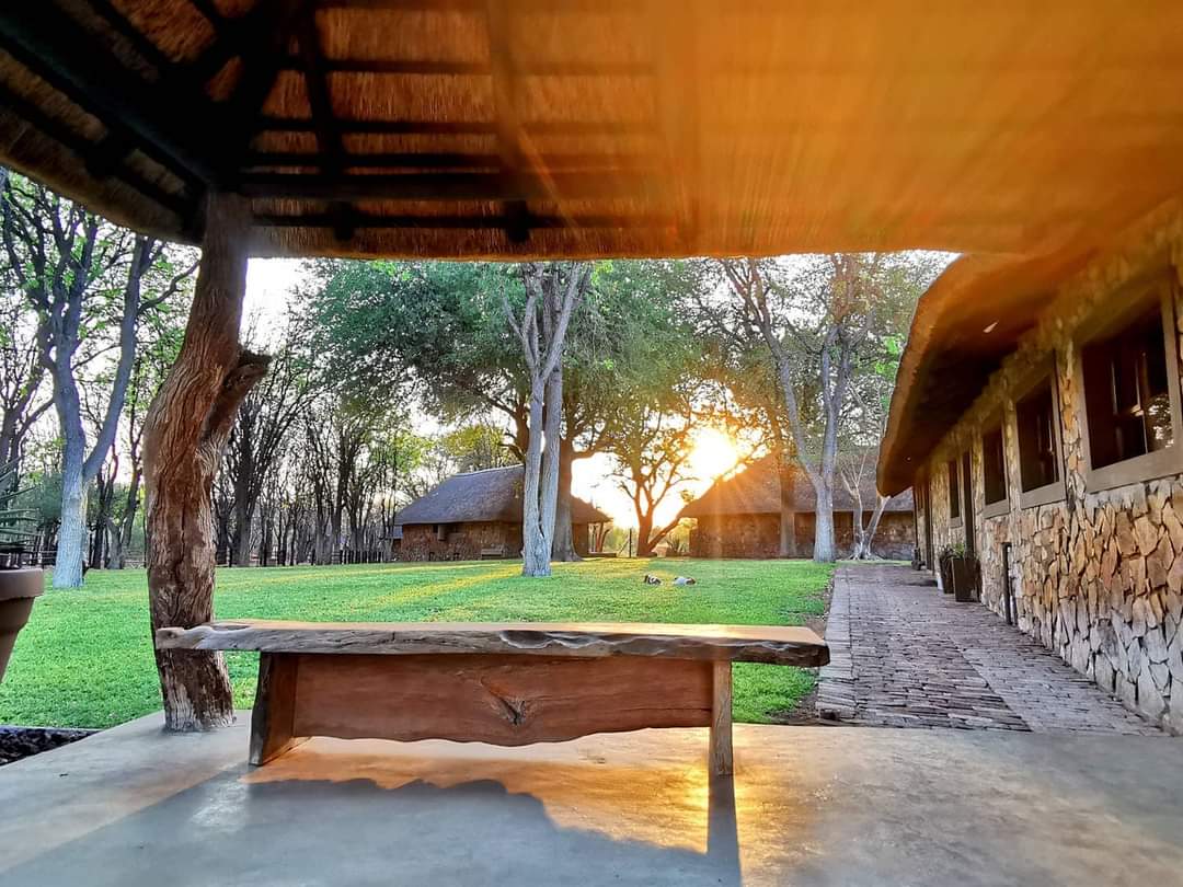 Leopard Hunting in Namibia & Brown Hyena Cancelation Hunt