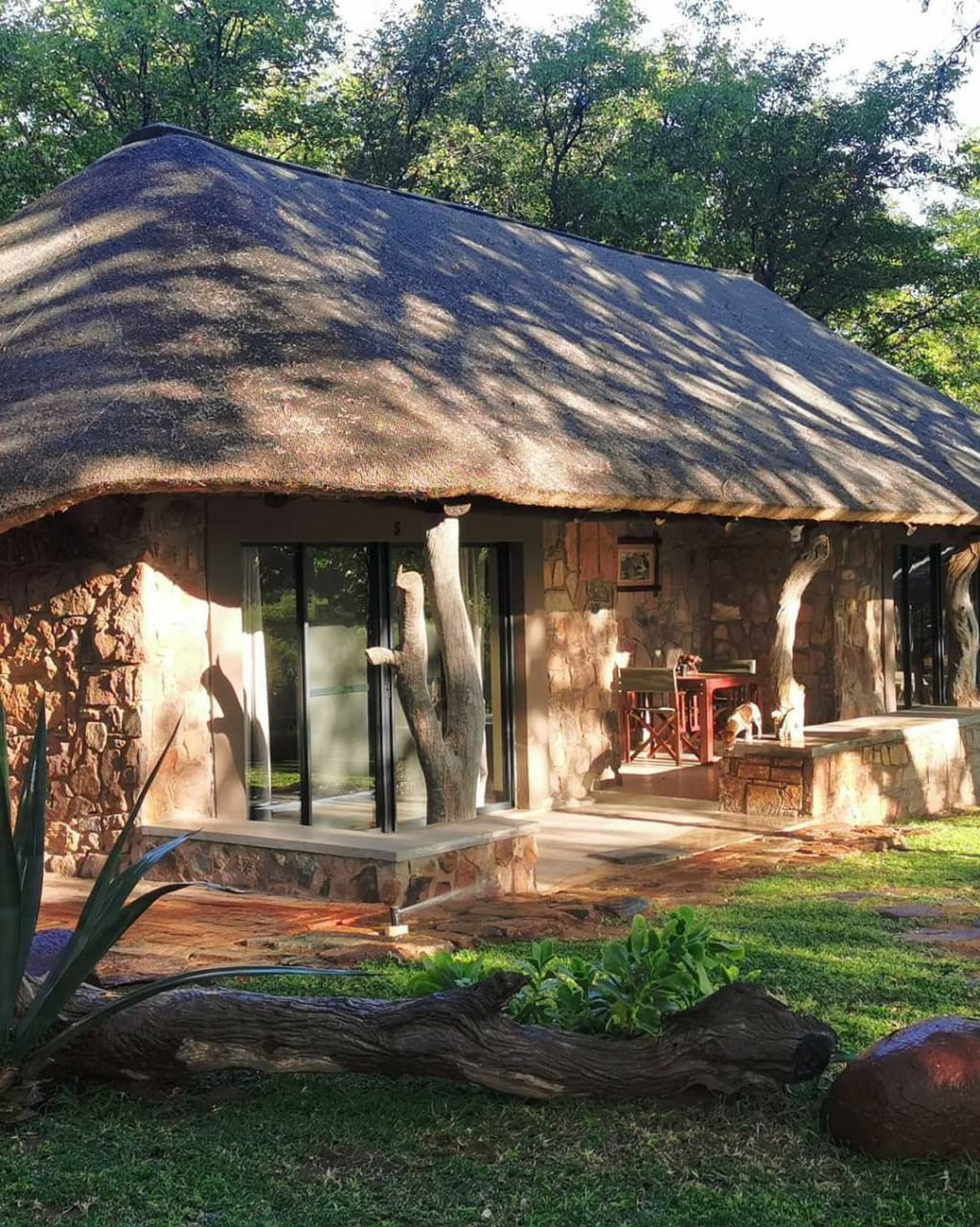 Leopard Hunting in Namibia & Brown Hyena Cancelation Hunt