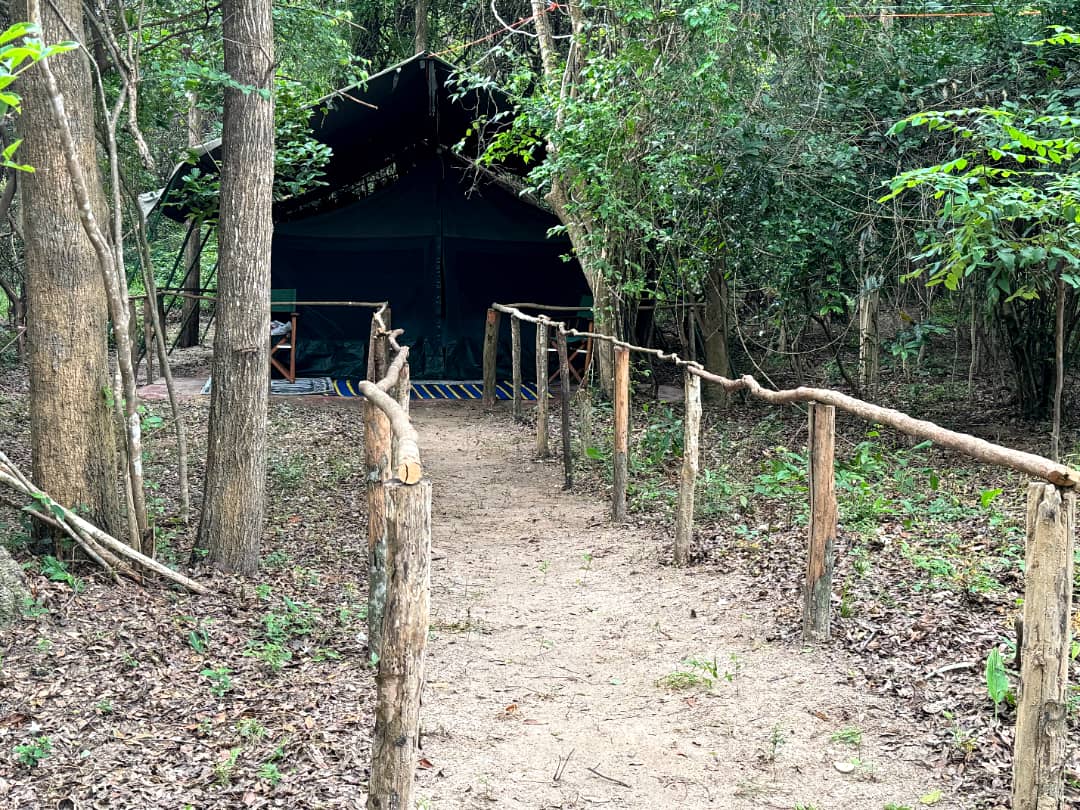 Leopard Hunting in Namibia & Brown Hyena Cancelation Hunt