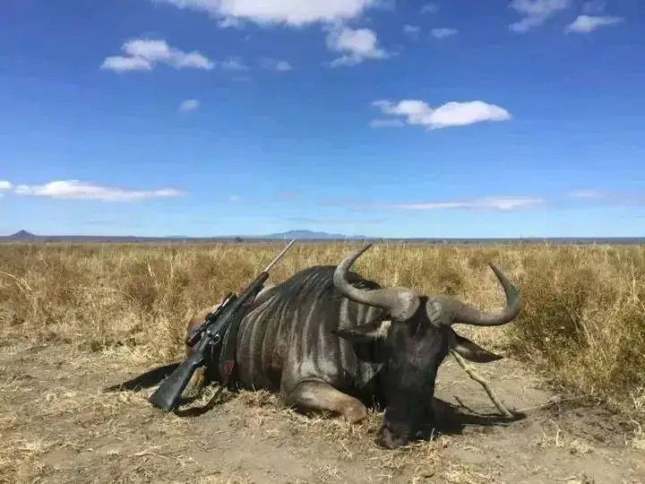 Leopard Hunting in Namibia & Brown Hyena Cancelation Hunt