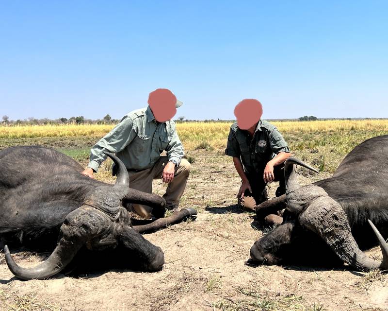 Leopard Hunting in Namibia & Brown Hyena Cancelation Hunt