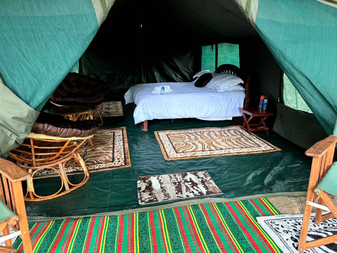 Leopard Hunting in Namibia & Brown Hyena Cancelation Hunt