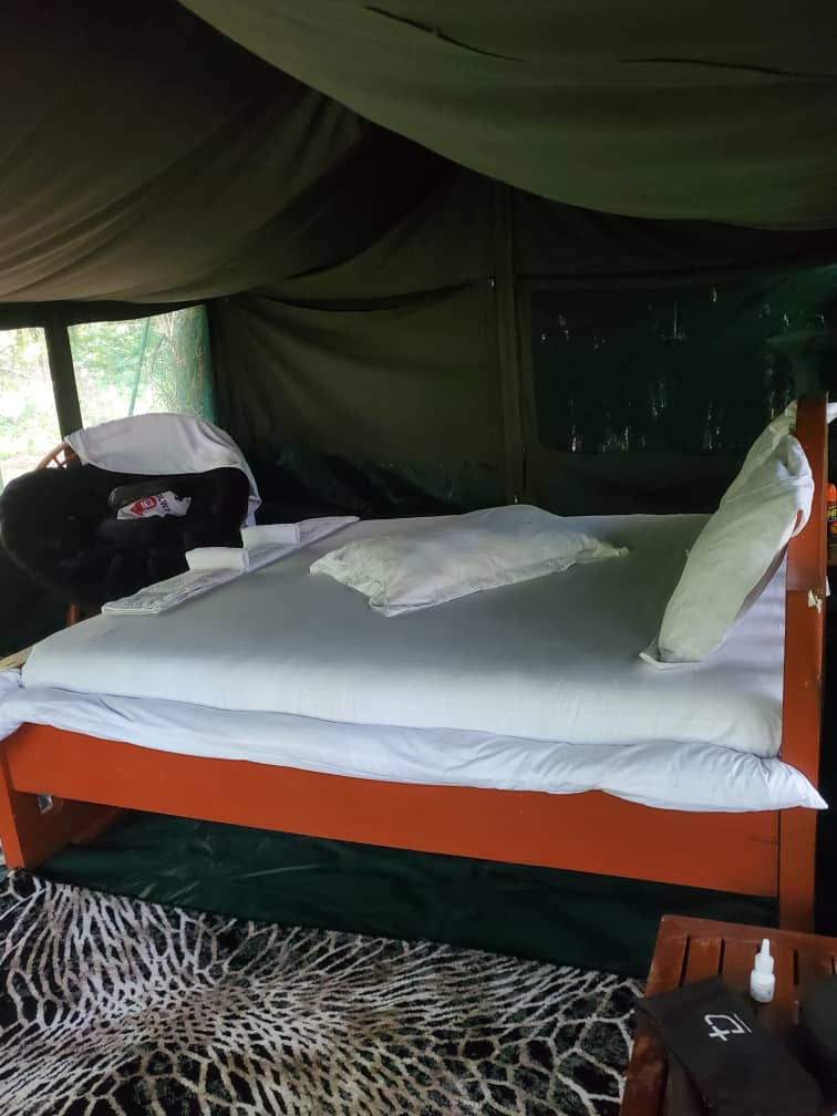 Leopard Hunting in Namibia & Brown Hyena Cancelation Hunt