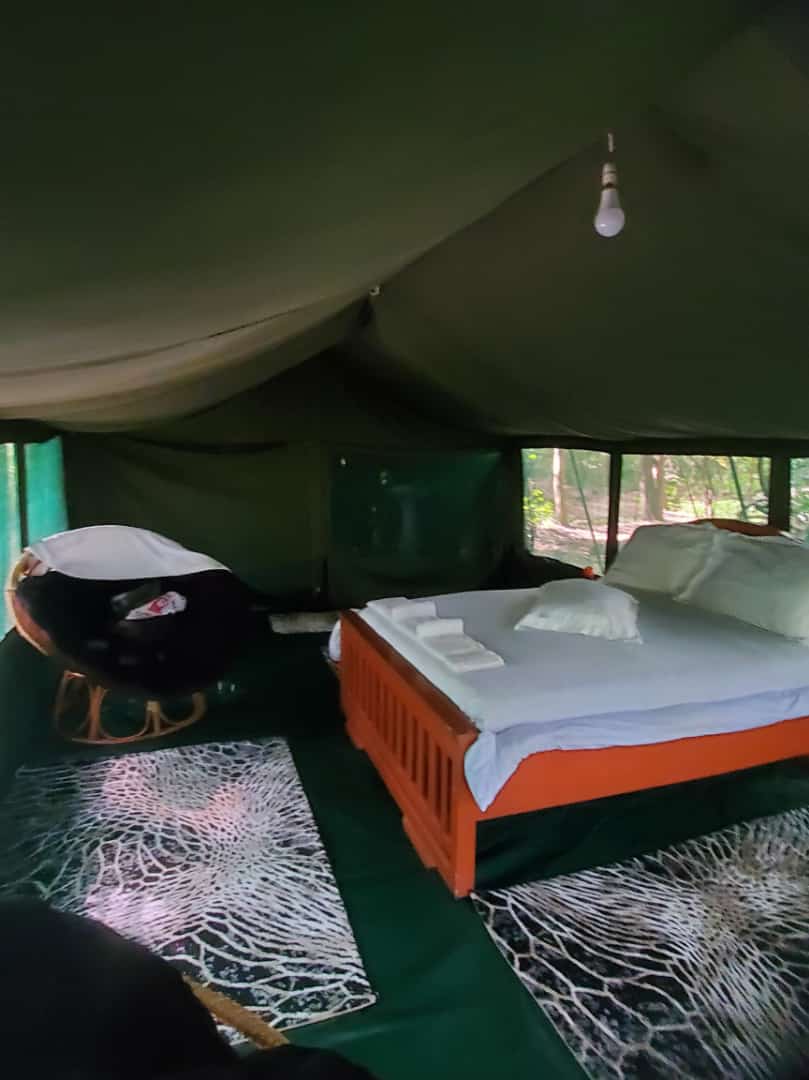 Leopard Hunting in Namibia & Brown Hyena Cancelation Hunt