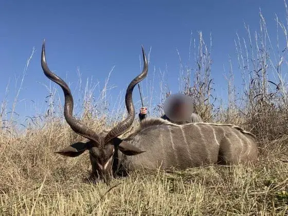 Leopard Hunting in Namibia & Brown Hyena Cancelation Hunt