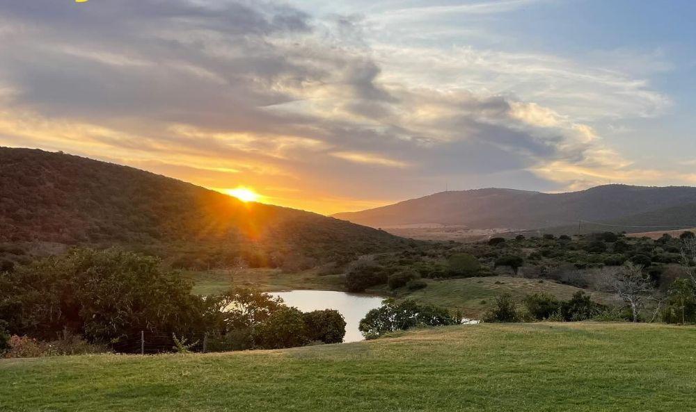 Leopard Hunting in Namibia & Brown Hyena Cancelation Hunt