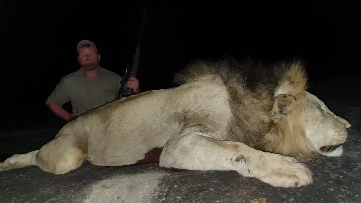 Leopard Hunting in Namibia & Brown Hyena Cancelation Hunt