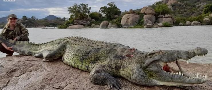 Leopard Hunting in Namibia & Brown Hyena Cancelation Hunt