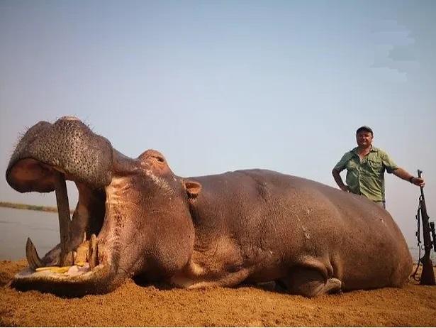 Leopard Hunting in Namibia & Brown Hyena Cancelation Hunt
