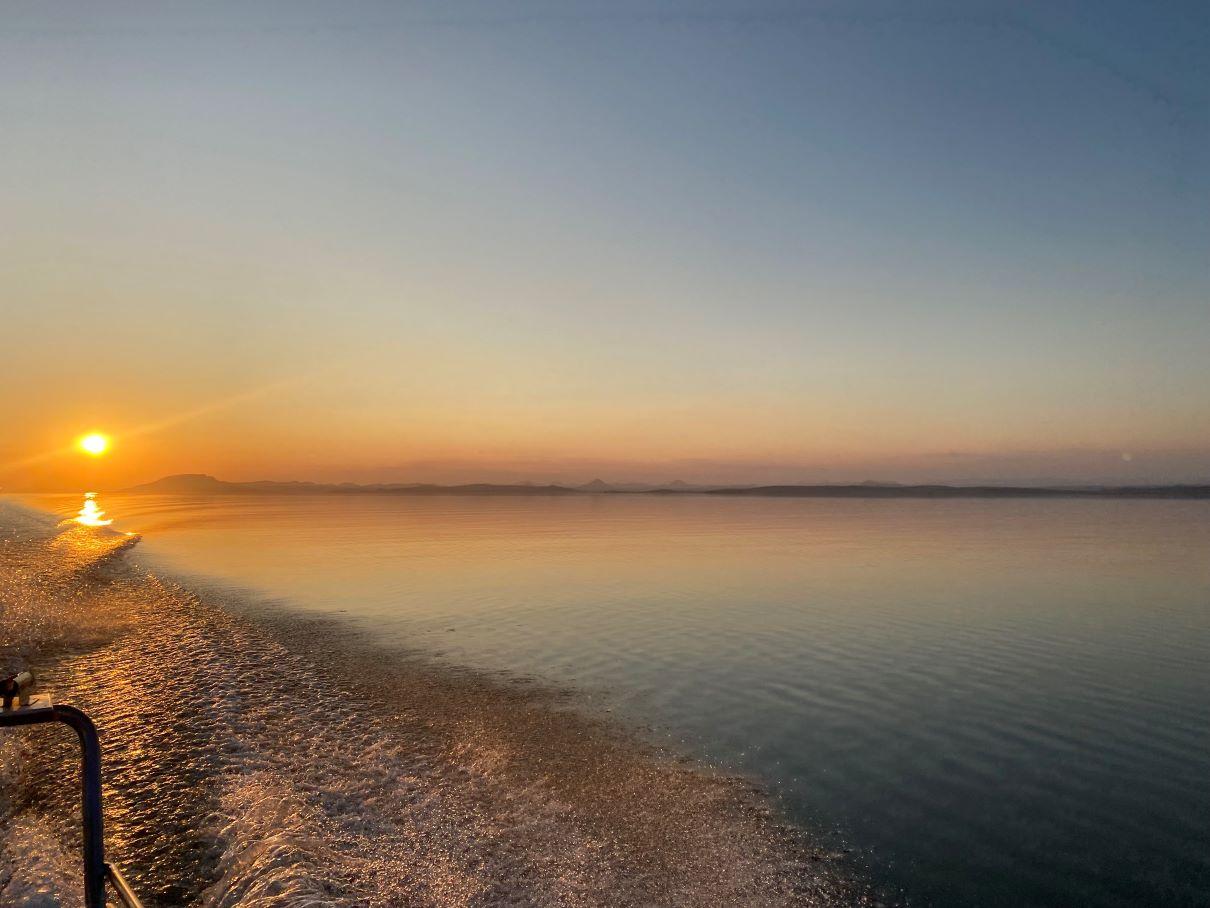 Leopard Hunting in Namibia & Brown Hyena Cancelation Hunt