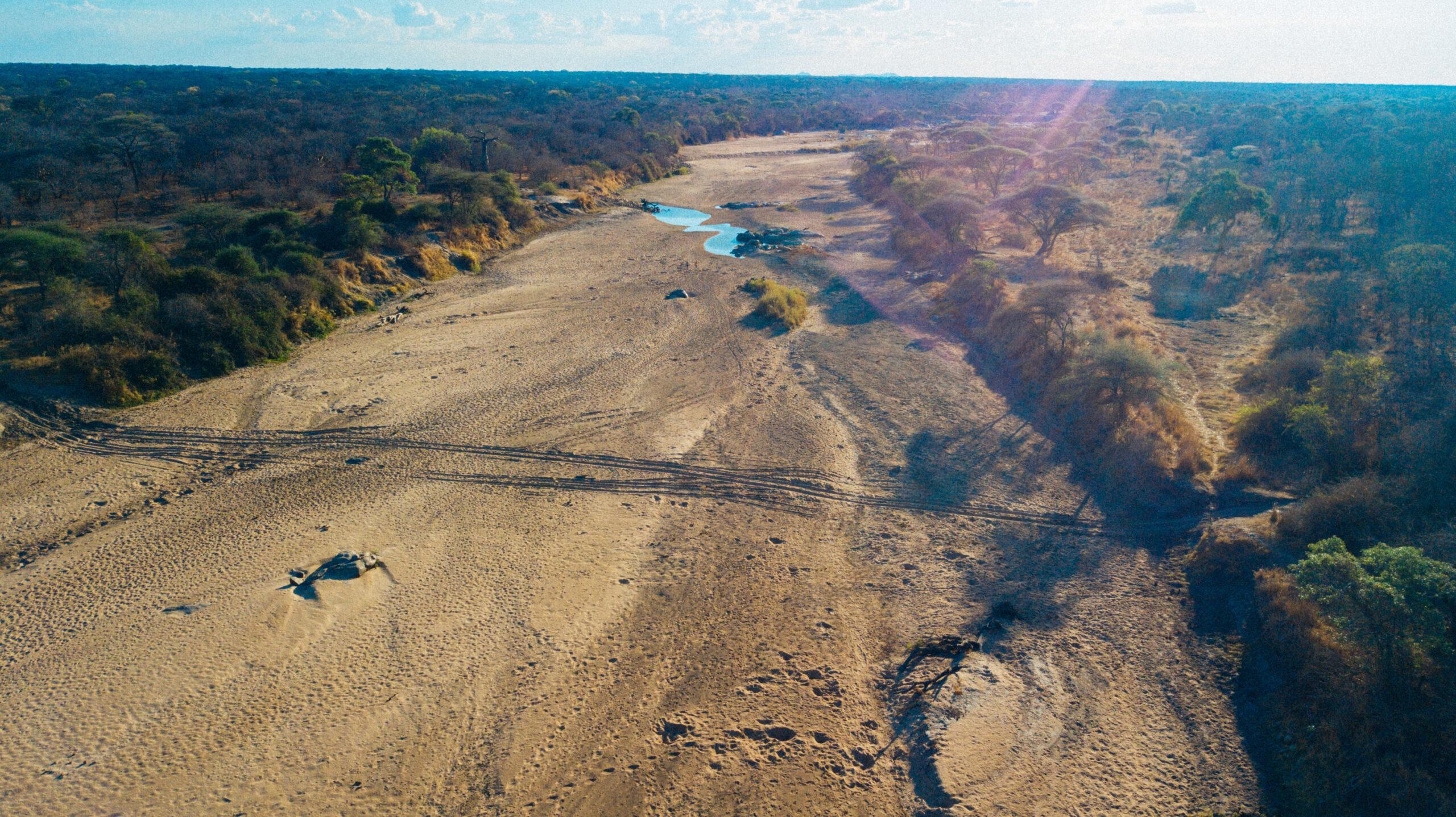 Leopard Hunting in Namibia & Brown Hyena Cancelation Hunt