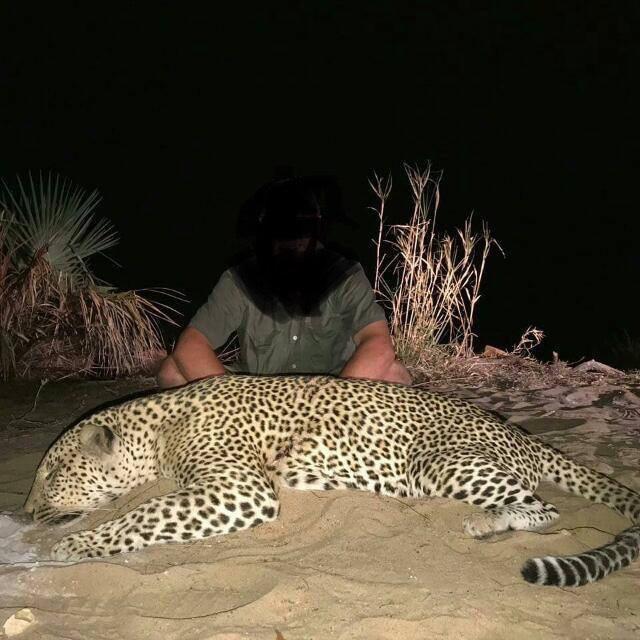 21 Day Leopard and Lion Hunt in Tanzania, Rungwa River