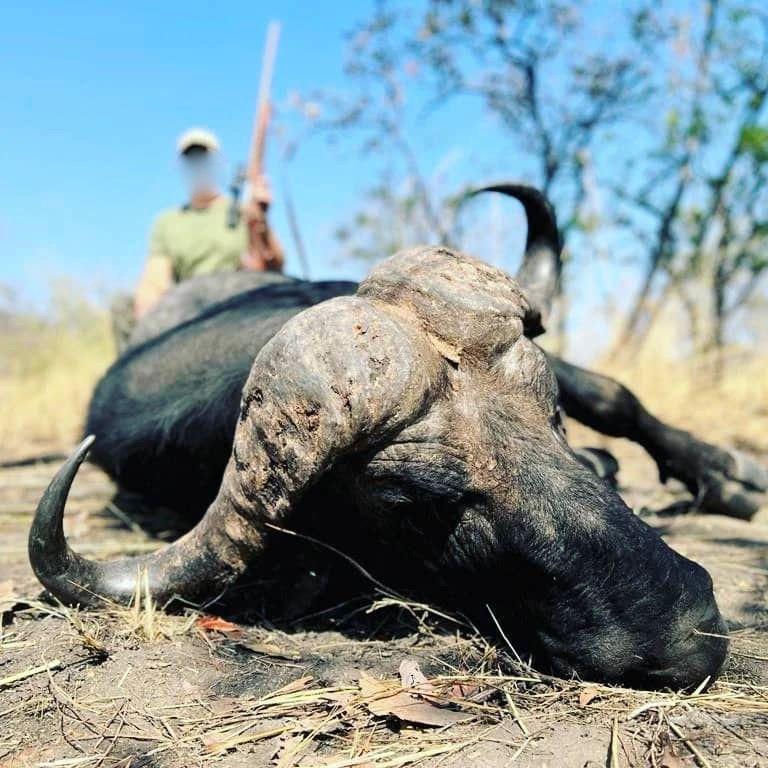 Leopard Hunting in Namibia & Brown Hyena Cancelation Hunt