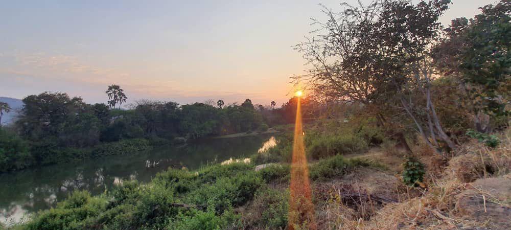 Leopard Hunting in Namibia & Brown Hyena Cancelation Hunt