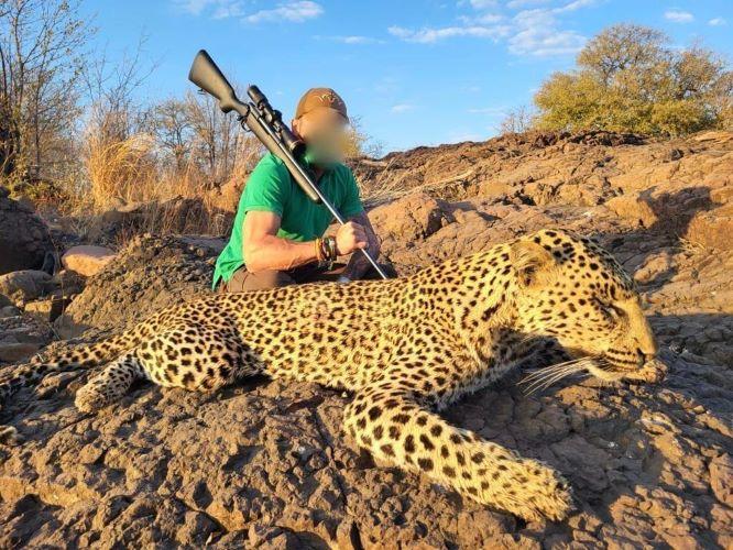 Leopard Hunting in Namibia & Brown Hyena Cancelation Hunt