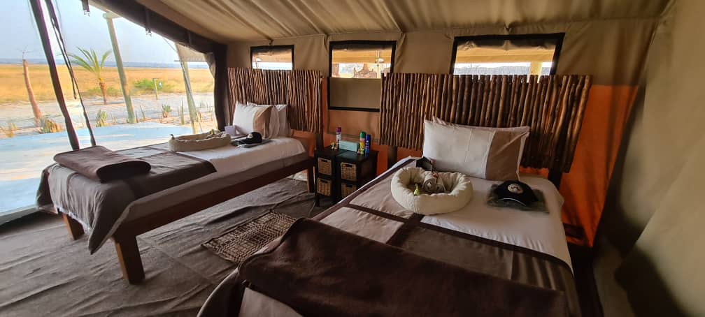 Leopard Hunting in Namibia & Brown Hyena Cancelation Hunt