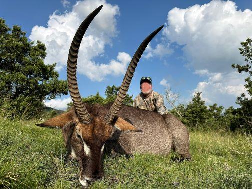 Leopard Hunting in Namibia & Brown Hyena Cancelation Hunt