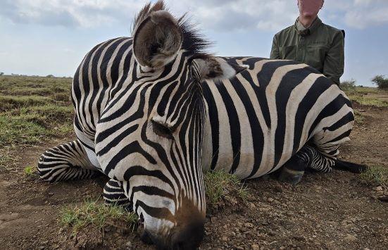 Leopard Hunting in Namibia & Brown Hyena Cancelation Hunt