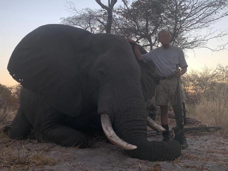 Leopard Hunting in Namibia & Brown Hyena Cancelation Hunt