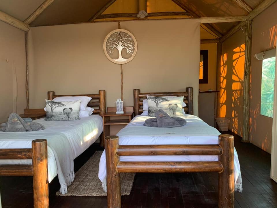 Leopard Hunting in Namibia & Brown Hyena Cancelation Hunt