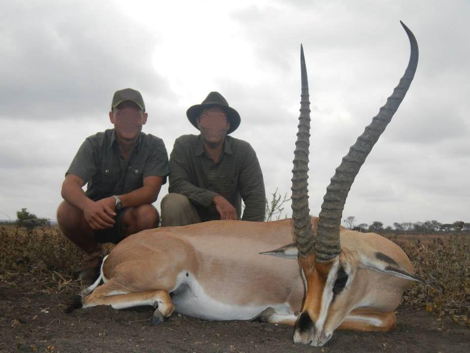 Hunting Safari in Tanzania Plains Game in Masailand 7 Days 1:1